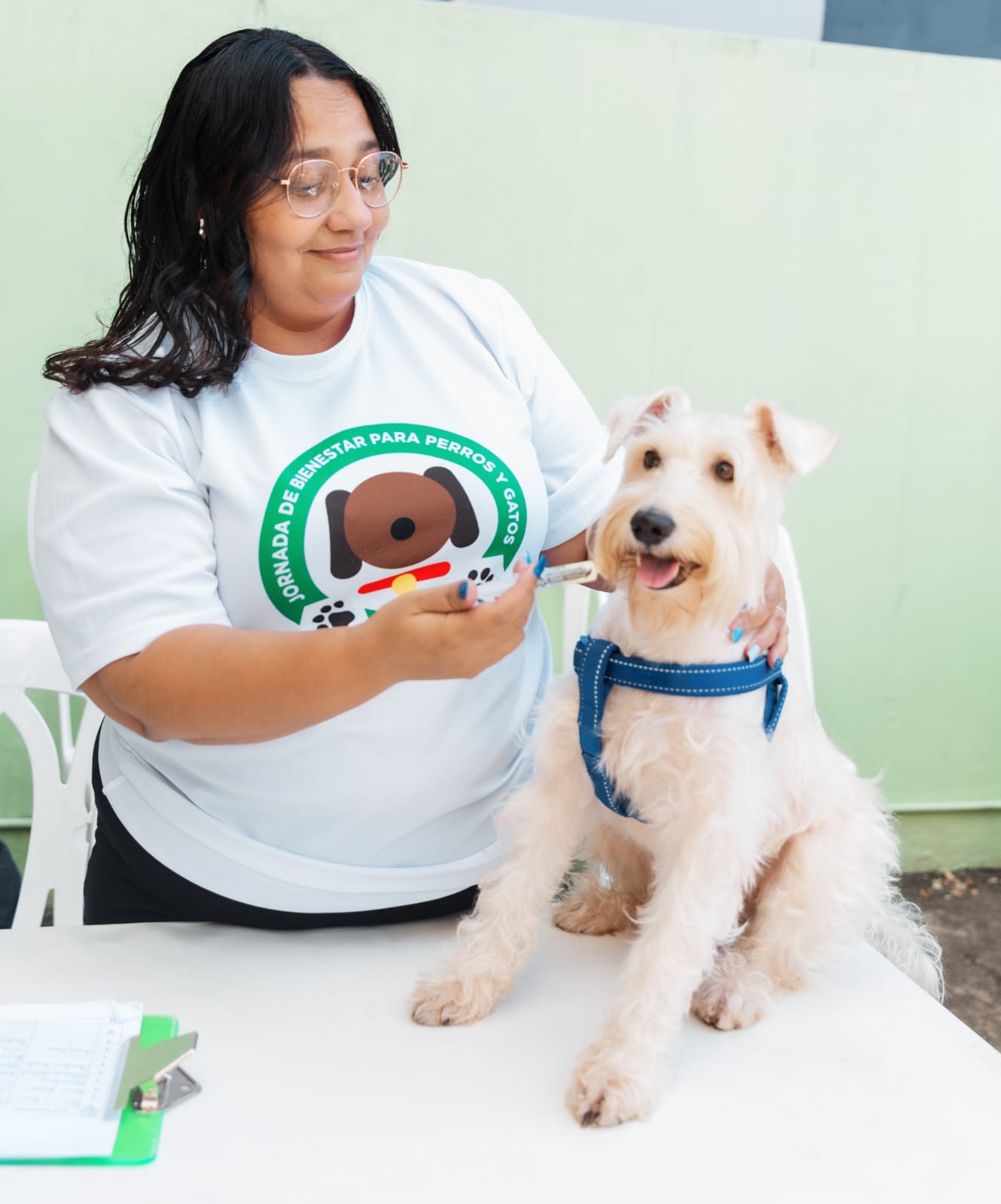 ADN continúa realizando jornadas de esterilización y vacunación para perros y gatos - Noticias de hoy en República Dominicana | De Último Minuto
