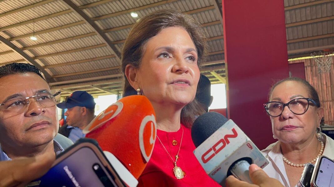 Vicepresidenta se solidariza con familiares de niña que murió ahogada durante excursión escolar en Santiago