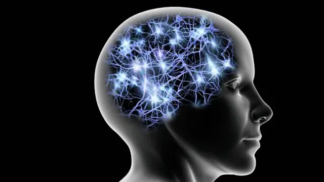 El cerebro atraviesa cinco etapas clave a lo largo de la vida, según estudio - Noticias de hoy en República Dominicana | De Último Minuto