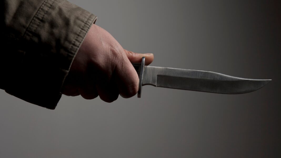 Hombre confiesa haber matado a su madre y su hermano en Villa Mella; PN lo arresta tras entregarse voluntariamente Hombre confiesa haber matado a su madre y su hermano en Villa Mella; PN lo arresta tras entregarse voluntariamente