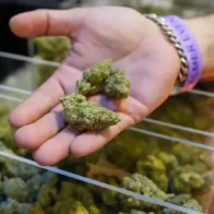 Trump amplía el acceso a la marihuana en el mayor cambio de la política de drogas de EE.UU. en décadas - Noticias de hoy en República Dominicana | De Último Minuto