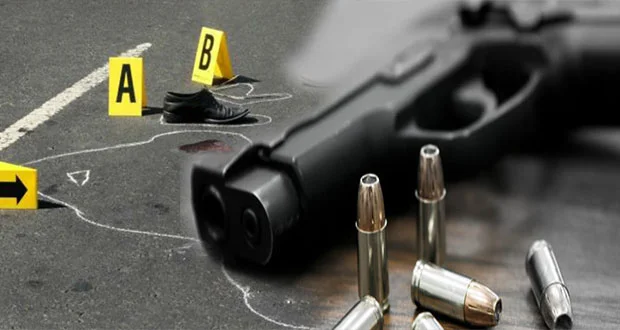 Faride Raful informa que en 2025 se han registrado 1,205 homicidios en la RD