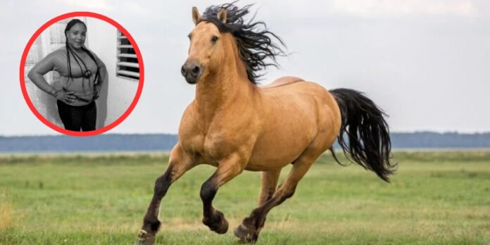 Joven muere tras caer de un caballo en carretera Hato Mayor–Vicentillo