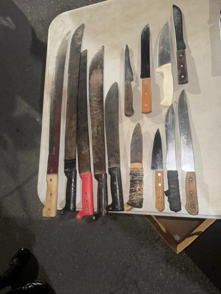 Ejército detiene a 125 haitianos indocumentados durante operativos en Constanza - Noticias de hoy en República Dominicana | De Último Minuto