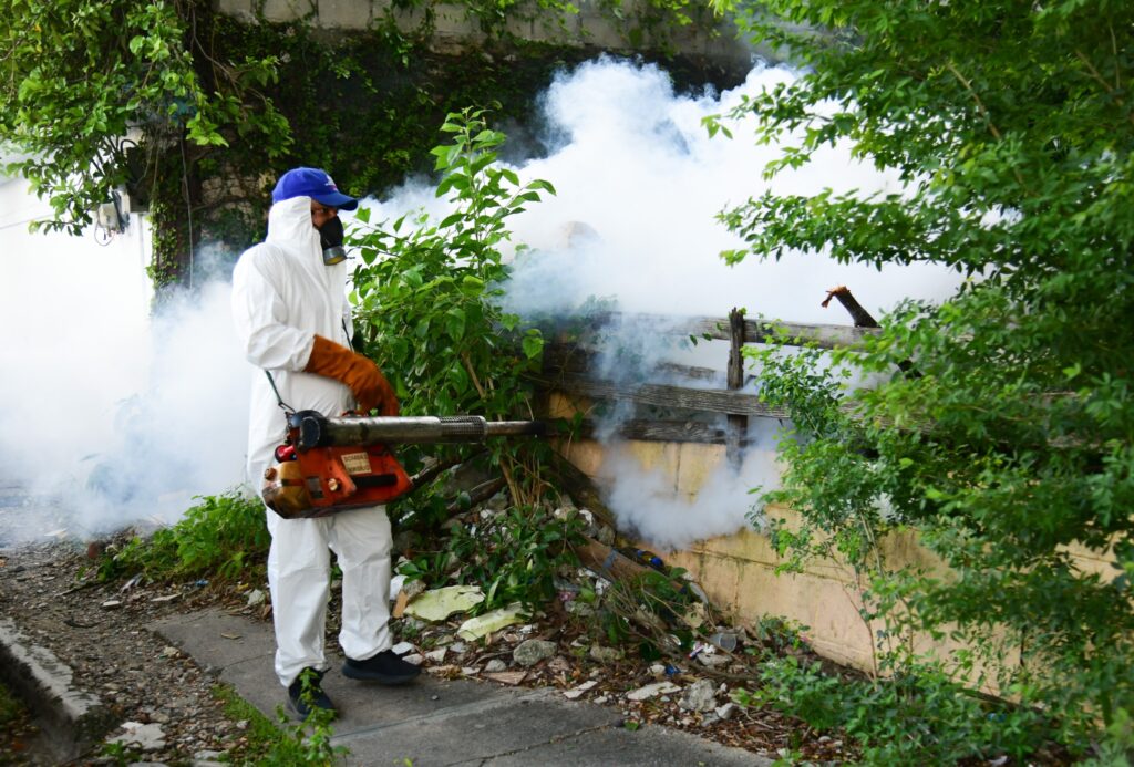 República Dominicana cierra 2025 con cero muertes por dengue y reducción histórica de casos - Noticias de hoy en República Dominicana | De Último Minuto