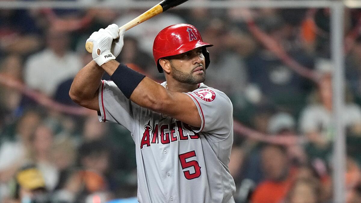 Albert Pujols: "95 por ciento del róster dominicano para el Clásico Mundial está definido" - Noticias de hoy en República Dominicana | De Último Minuto