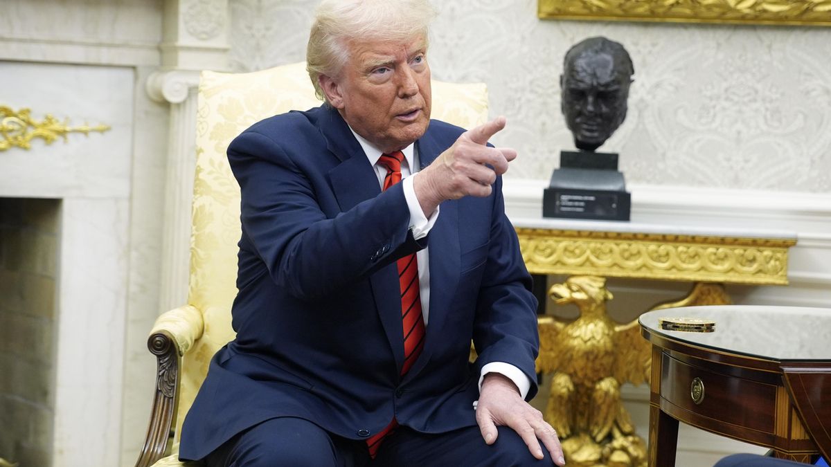 Trump confirma acuerdo para crear "grupos de trabajo" para mediar entre Ucrania y Rusia - Noticias de hoy en República Dominicana | De Último Minuto