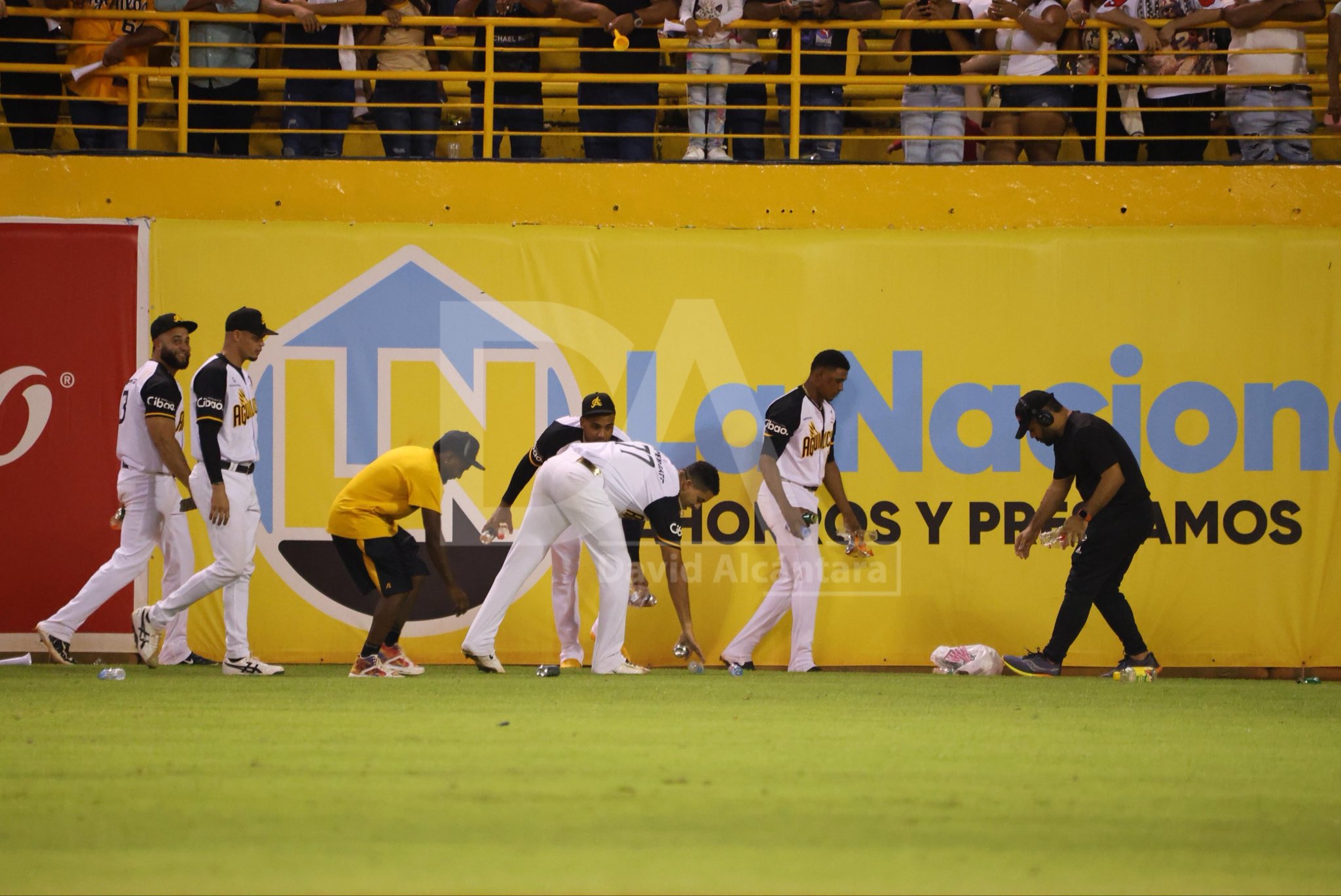 Geraldo Perdomo y las Águilas recogen basura en el Estadio Cibao tras ser lanzada por fanáticos - Noticias de hoy en República Dominicana | De Último Minuto