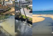 Denuncian vertido de aguas residuales al mar en las inmediaciones de Puerto Plaza, Las Terrenas Denuncian vertido de aguas residuales al mar en las inmediaciones de Puerto Plaza, Las Terrenas