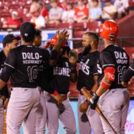 Leones quedan a un paso de la final; Toros se adueñan del segundo lugar en el Round Robin - Noticias de hoy en República Dominicana | De Último Minuto