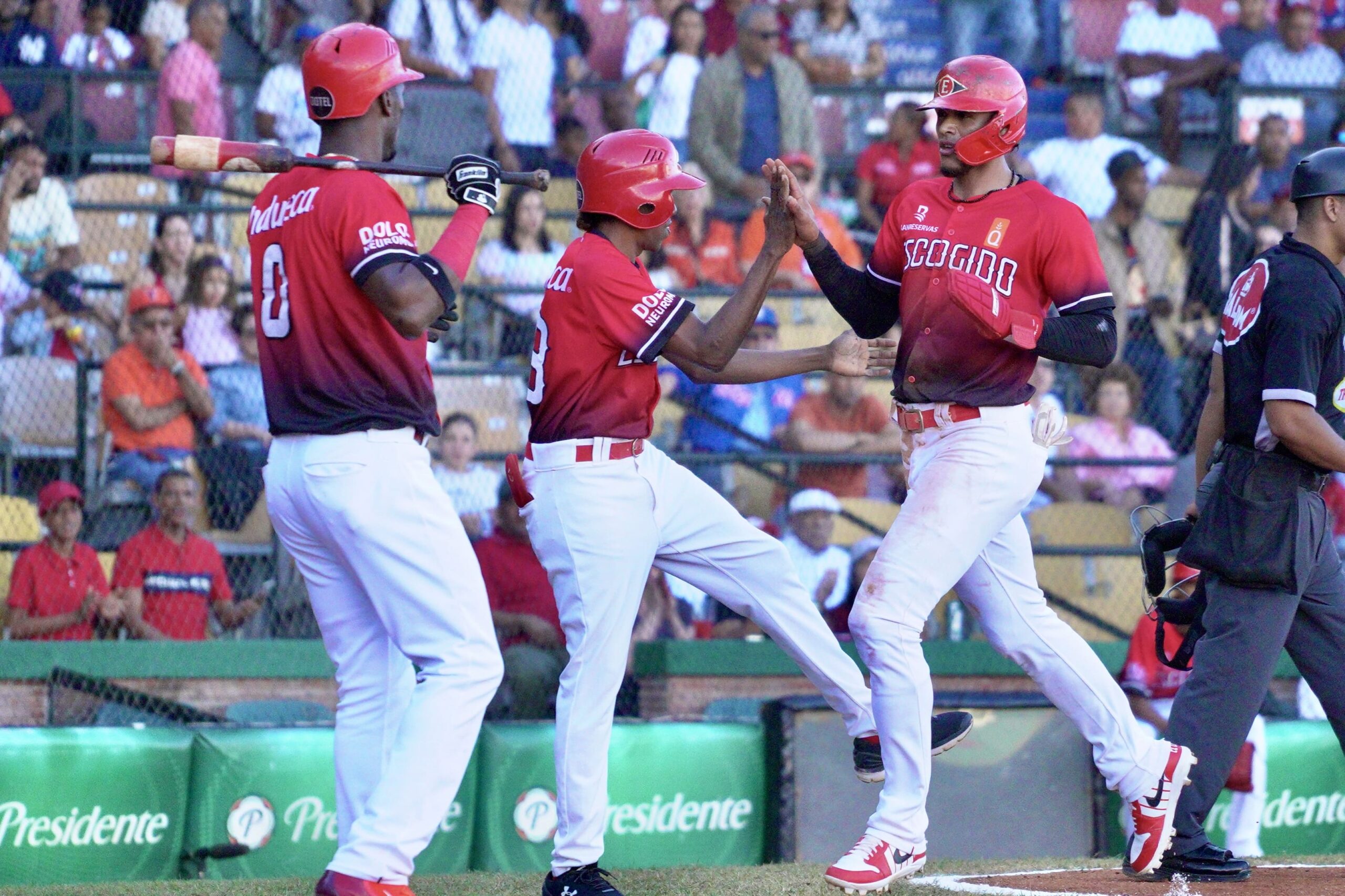 Escogido queda a un paso de la final; Águilas y Toros se juegan el último boleto - Noticias de hoy en República Dominicana | De Último Minuto