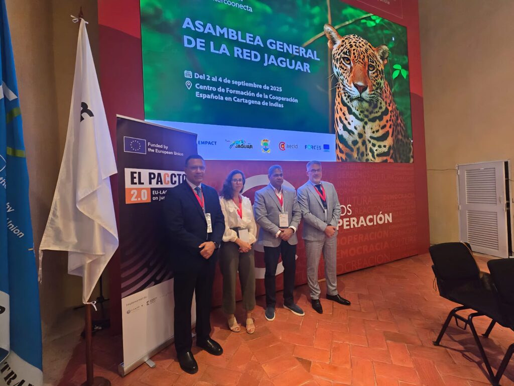 Instituciones públicas consolidan presencia internacional durante 2025 a través del Senpa | 3 | Instituciones públicas consolidan presencia internacional durante 2025 a través del Senpa - Noticias de hoy en República Dominicana | De Último Minuto