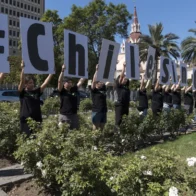 Activistas piden al Parlamento aprobar ley de incendios para tener un "Chile sin cenizas"