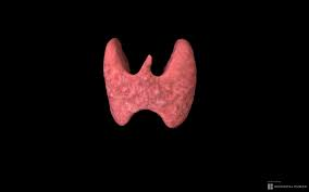 Es falso que aplicar perfume en el cuello altere la tiroides o las hormonas | 2 | Es falso que aplicar perfume en el cuello altere la tiroides o las hormonas - Noticias de hoy en República Dominicana | De Último Minuto