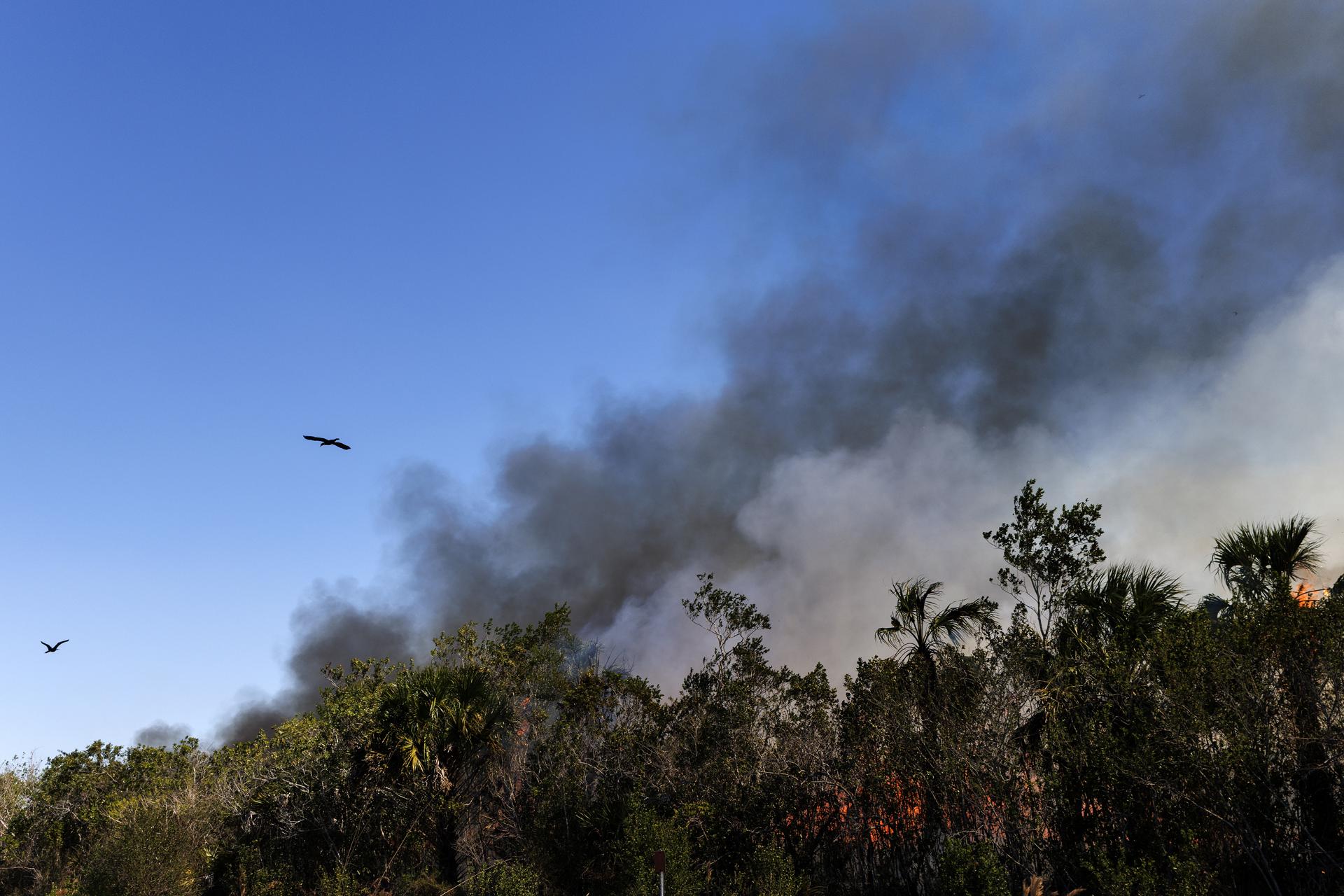 Incendio en Florida crece y amenaza un centenar de viviendas tras cinco días sin control