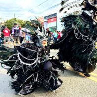 Una nueva generación abraza con fuerza el Carnaval Vegano - Noticias de hoy en República Dominicana | De Último Minuto