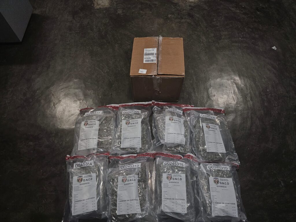 DNCD confisca 15 paquetes de marihuana en el AILA - Noticias de hoy en República Dominicana | De Último Minuto