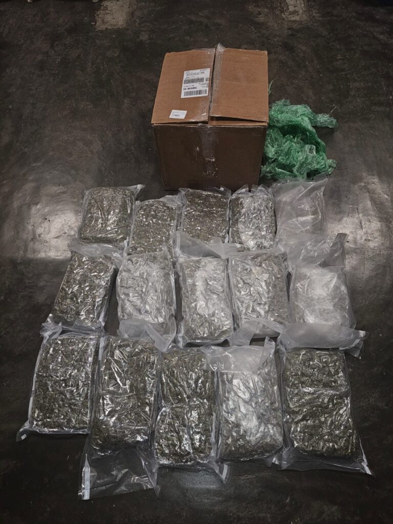 DNCD confisca 15 paquetes de marihuana en el AILA - Noticias de hoy en República Dominicana | De Último Minuto