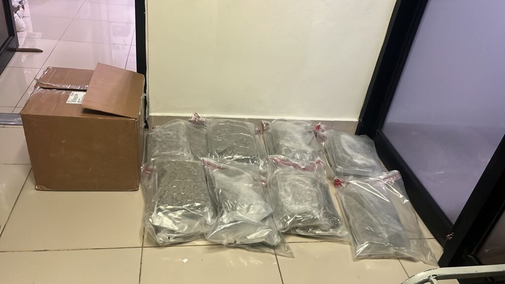DNCD confisca 15 paquetes de marihuana en el AILA - Noticias de hoy en República Dominicana | De Último Minuto