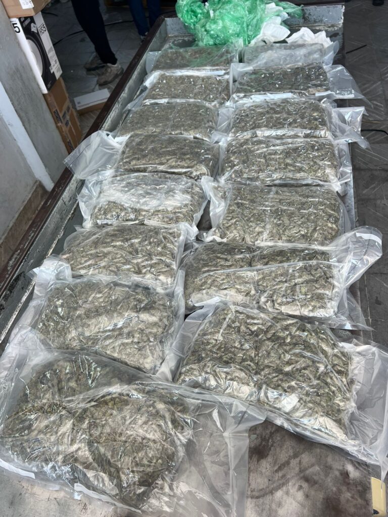 DNCD confisca 15 paquetes de marihuana en el AILA - Noticias de hoy en República Dominicana | De Último Minuto