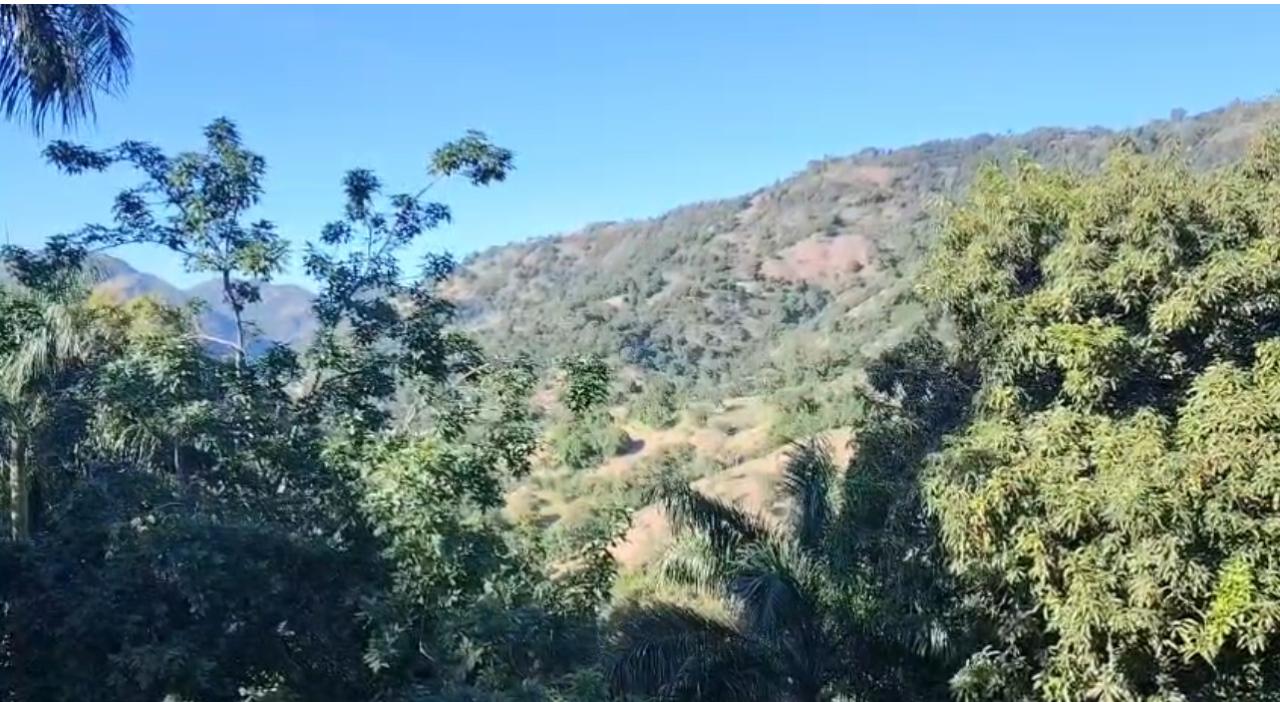 CNTT llama a transportistas a respaldar caravana en defensa de la Cordillera Septentrional en Puerto Plata - Noticias de hoy en República Dominicana | De Último Minuto