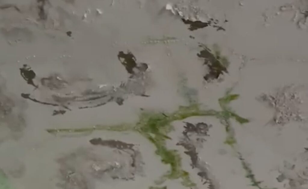 Filtraciones amenazan con detener docencia en liceo de La Palma Constanza | 2 | Filtraciones amenazan con detener docencia en liceo de La Palma Constanza - Noticias de hoy en República Dominicana | De Último Minuto