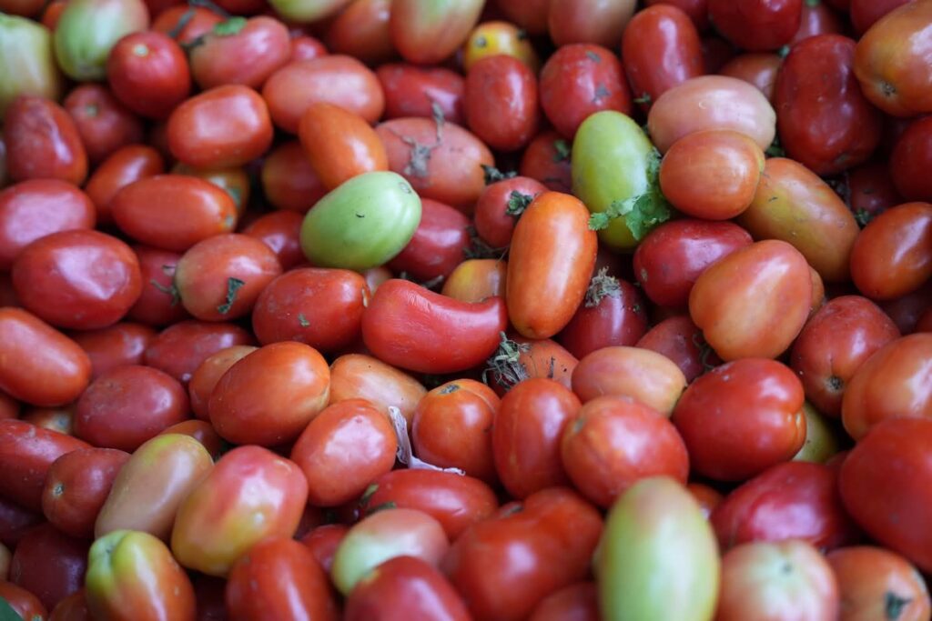 Ministro de Industria y Comercio respalda a mipymes en la Feria del Tomate en Azua | 2 | Ministro de Industria y Comercio respalda a mipymes en la Feria del Tomate en Azua - Noticias de hoy en República Dominicana | De Último Minuto