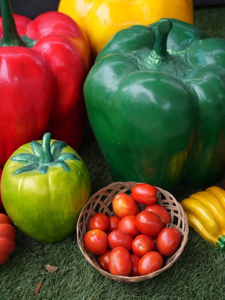 Ministro de Industria y Comercio respalda a mipymes en la Feria del Tomate en Azua | 3 | Ministro de Industria y Comercio respalda a mipymes en la Feria del Tomate en Azua - Noticias de hoy en República Dominicana | De Último Minuto