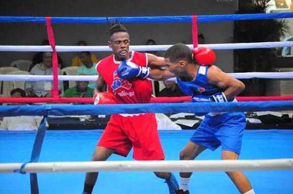 Selección RD incluye otros tres peleadores para semifinales de Copa Independencia de Boxeo
