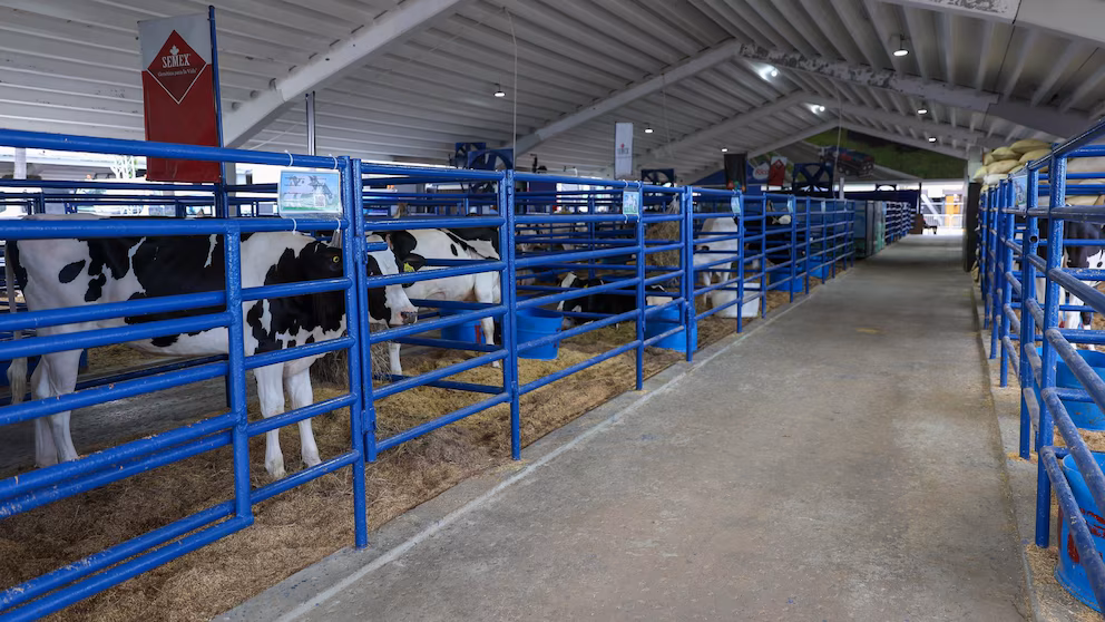 Abinader inaugura Feria Agropecuaria Nacional 2026 - Noticias de hoy en República Dominicana | De Último Minuto