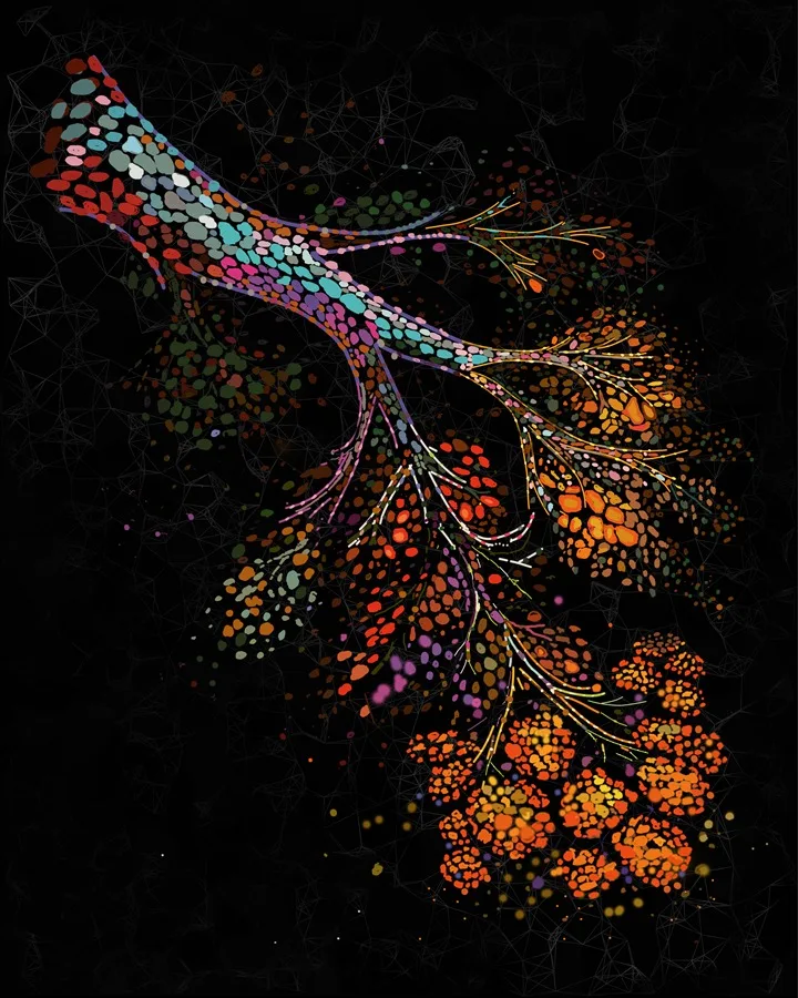 Desvelan por qué el riesgo de cáncer de mama aumenta tras la menopausia | 5 | Desvelan por qué el riesgo de cáncer de mama aumenta tras la menopausia - Noticias de hoy en República Dominicana | De Último Minuto