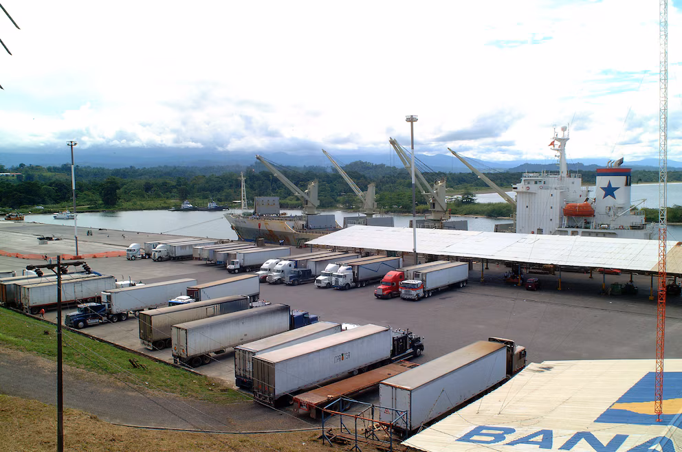 Autoridades costarricenses decomisan 73 kilos de cocaína ocultos en cargamento de verduras en Moín | 2 | Autoridades costarricenses decomisan 73 kilos de cocaína ocultos en cargamento de verduras en Moín - Noticias de hoy en República Dominicana | De Último Minuto
