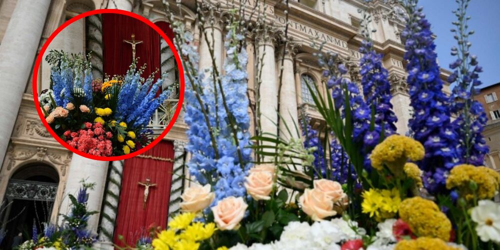Miles de flores de Italia y Países Bajos adornarán el Vaticano en Semana Santa