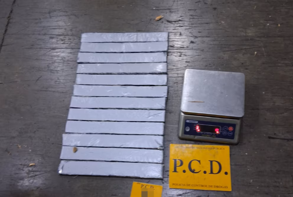 Autoridades costarricenses decomisan 73 kilos de cocaína ocultos en cargamento de verduras en Moín | 3 | Autoridades costarricenses decomisan 73 kilos de cocaína ocultos en cargamento de verduras en Moín - Noticias de hoy en República Dominicana | De Último Minuto