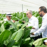 Presidente Abinader visita finca tabacalera “La Milagrosa” de Arturo Fuente en Monte Plata.