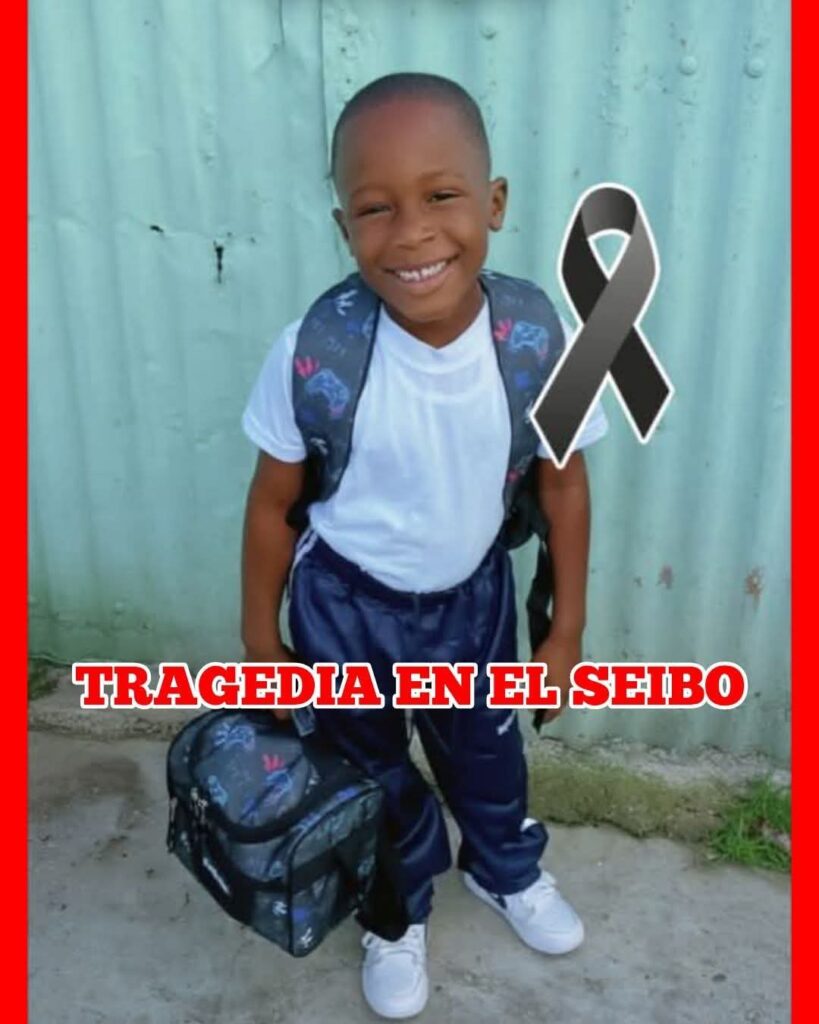 Tragedia en El Seibo: muere niño de 7 años tras ser atropellado por autobús camino a la escuela - Noticias de hoy en República Dominicana | De Último Minuto