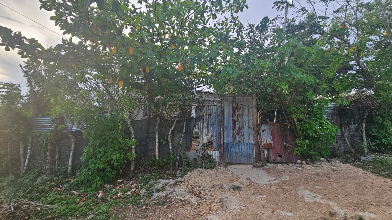 Restos de niño de 7 años ultimado por su hermano son velados en Barahona