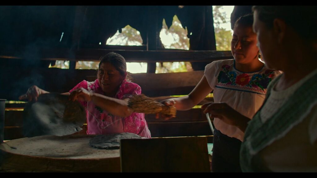 El cacao dominicano conquista Disney+ | 4 | El cacao dominicano conquista Disney+ - Noticias de hoy en República Dominicana | De Último Minuto