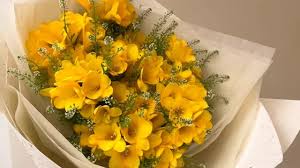 Flores amarillas, el detalle que todos esperan el 21 de marzo - Noticias de hoy en República Dominicana | De Último Minuto