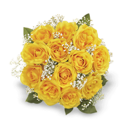 Flores amarillas, el detalle que todos esperan el 21 de marzo - Noticias de hoy en República Dominicana | De Último Minuto