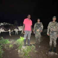 Ejército recupera 18 reses sustraídas en Loma de Cabrera, Dajabón - Noticias de hoy en República Dominicana | De Último Minuto