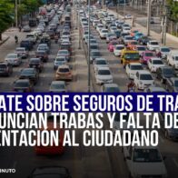 DEBATE SOBRE SEGUROS DE TRÁNSITO: DENUNCIAN TRABAS Y FALTA DE ORIENTACIÓN AL CIUDADANO - Noticias de hoy en República Dominicana | De Último Minuto