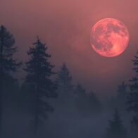 Estados Unidos: Luna llena de abril 2026 ilumina el cielo con la llamada “Luna Rosa”