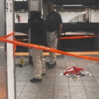 Policía de Nueva York abate a hombre que apuñaló a tres personas en estación Grand Central - Noticias de hoy en República Dominicana | De Último Minuto