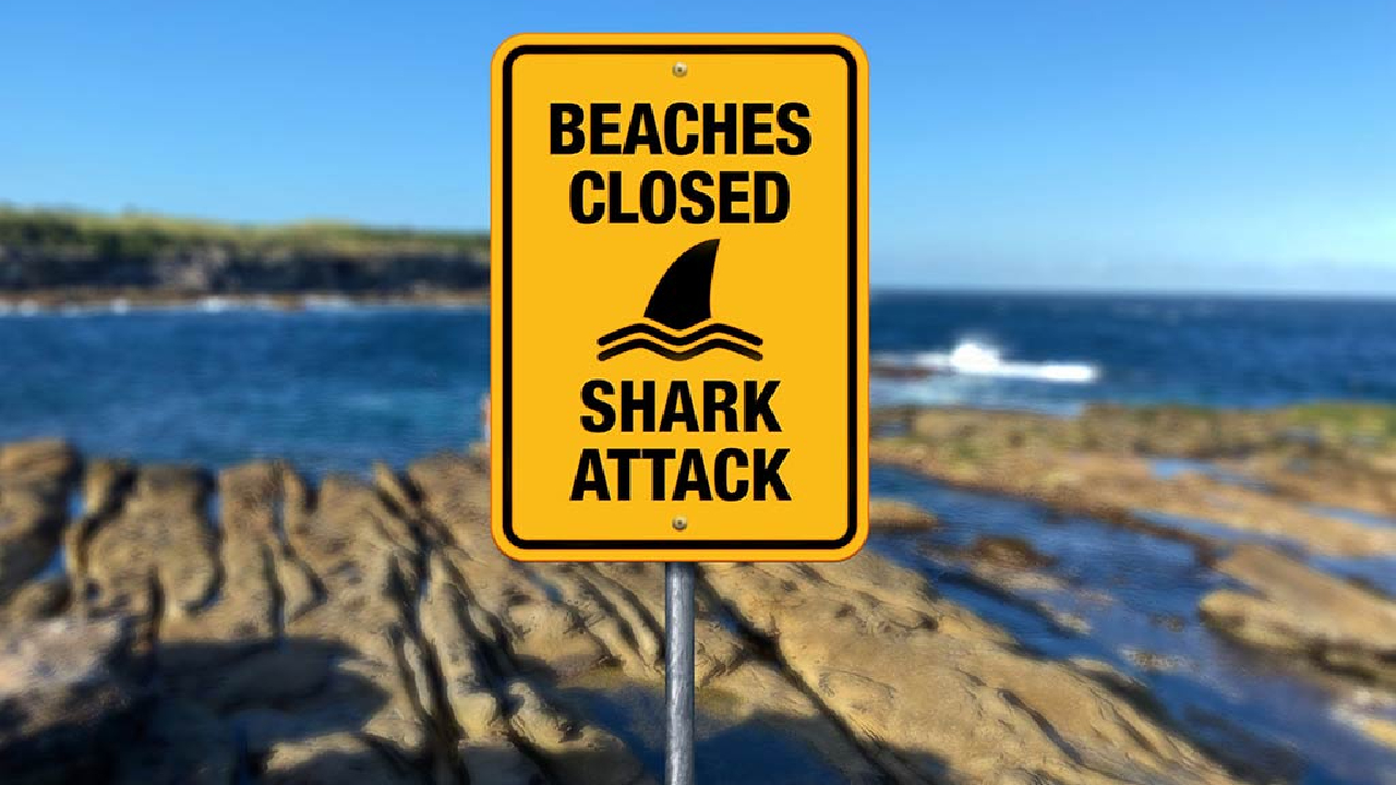 Australia cierra varias playas en Sídney por riesgo de ataques de tiburón