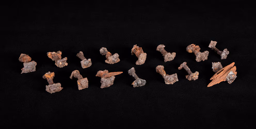 Descubren en Noruega partes de un barco sepultado que antecede a los vikingos - Noticias de hoy en República Dominicana | De Último Minuto