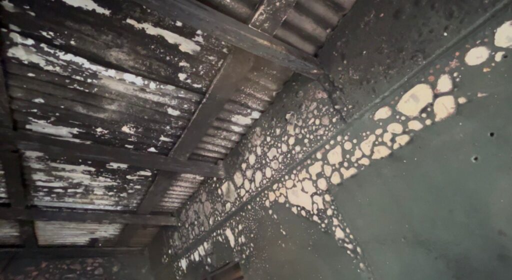 Joven madre clama ayuda tras perderlo todo en incendio en el sector Don Bosco, Jarabacoa - Noticias de hoy en República Dominicana | De Último Minuto