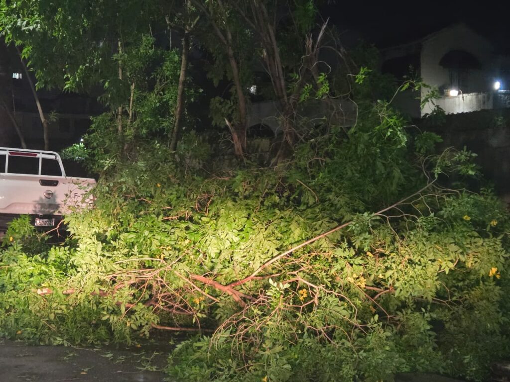 Paredes colapsadas, vehículos afectados y aceras con ramas: el saldo del ventarrón en el Distrito Nacional - Noticias de hoy en República Dominicana | De Último Minuto