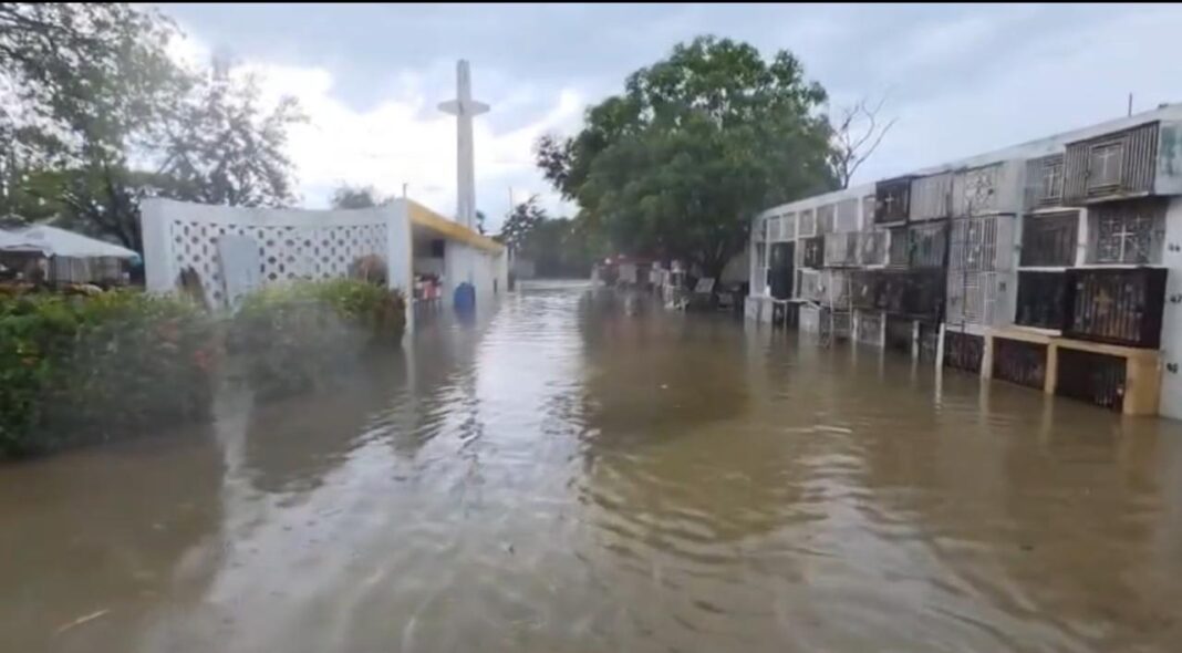 Imagen 1