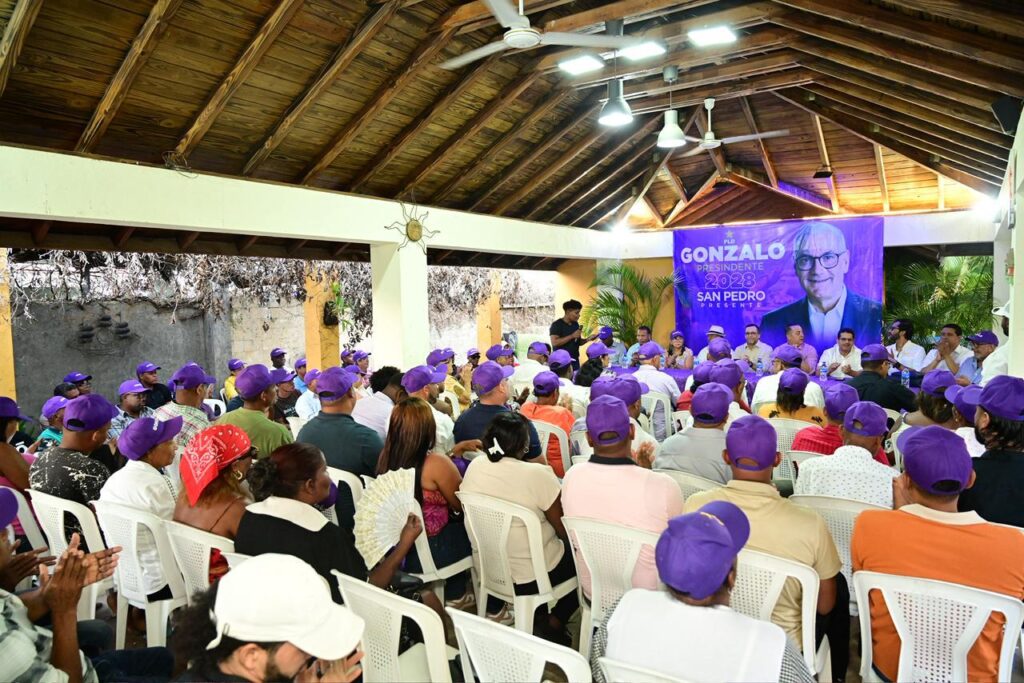 Apoyo regional impulsa aspiración presidencial de Gonzalo Castillo - Noticias de hoy en República Dominicana | De Último Minuto